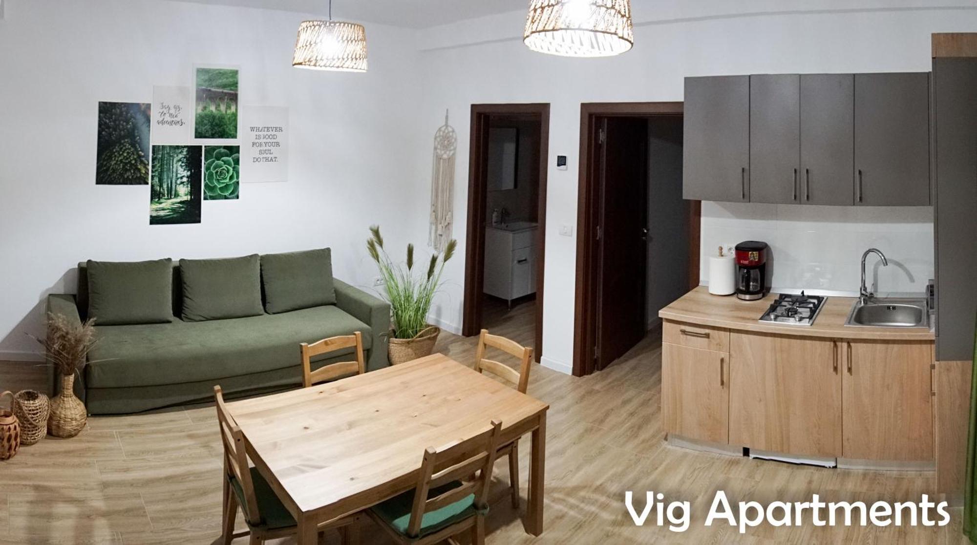 Vig Apartments Timisoara Exterior photo