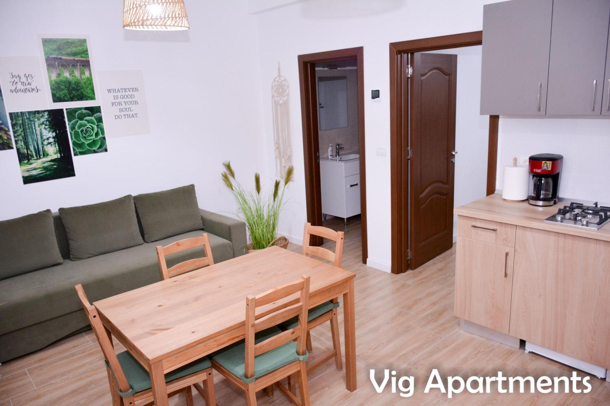 Vig Apartments Timisoara Exterior photo