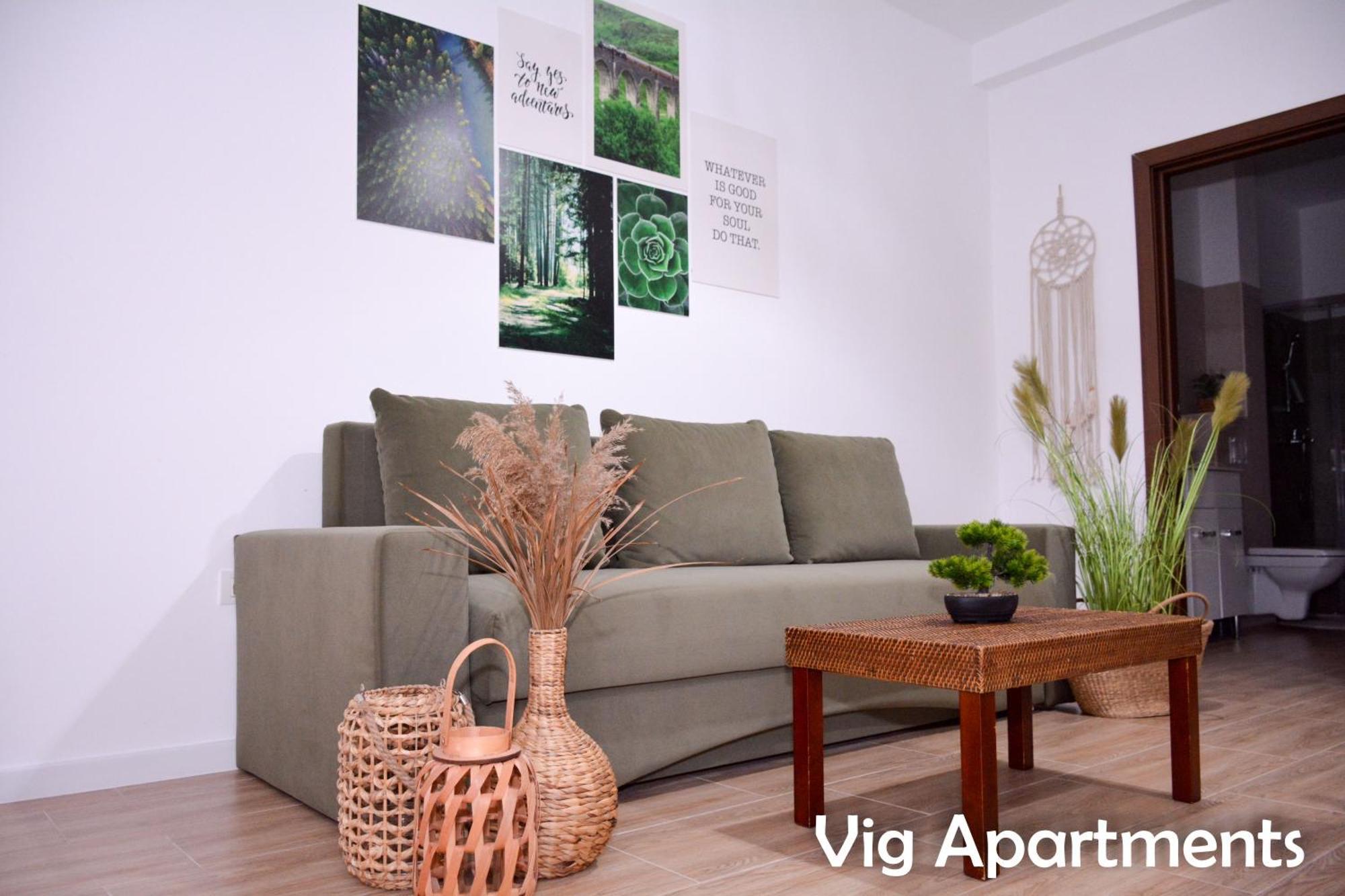 Vig Apartments Timisoara Exterior photo