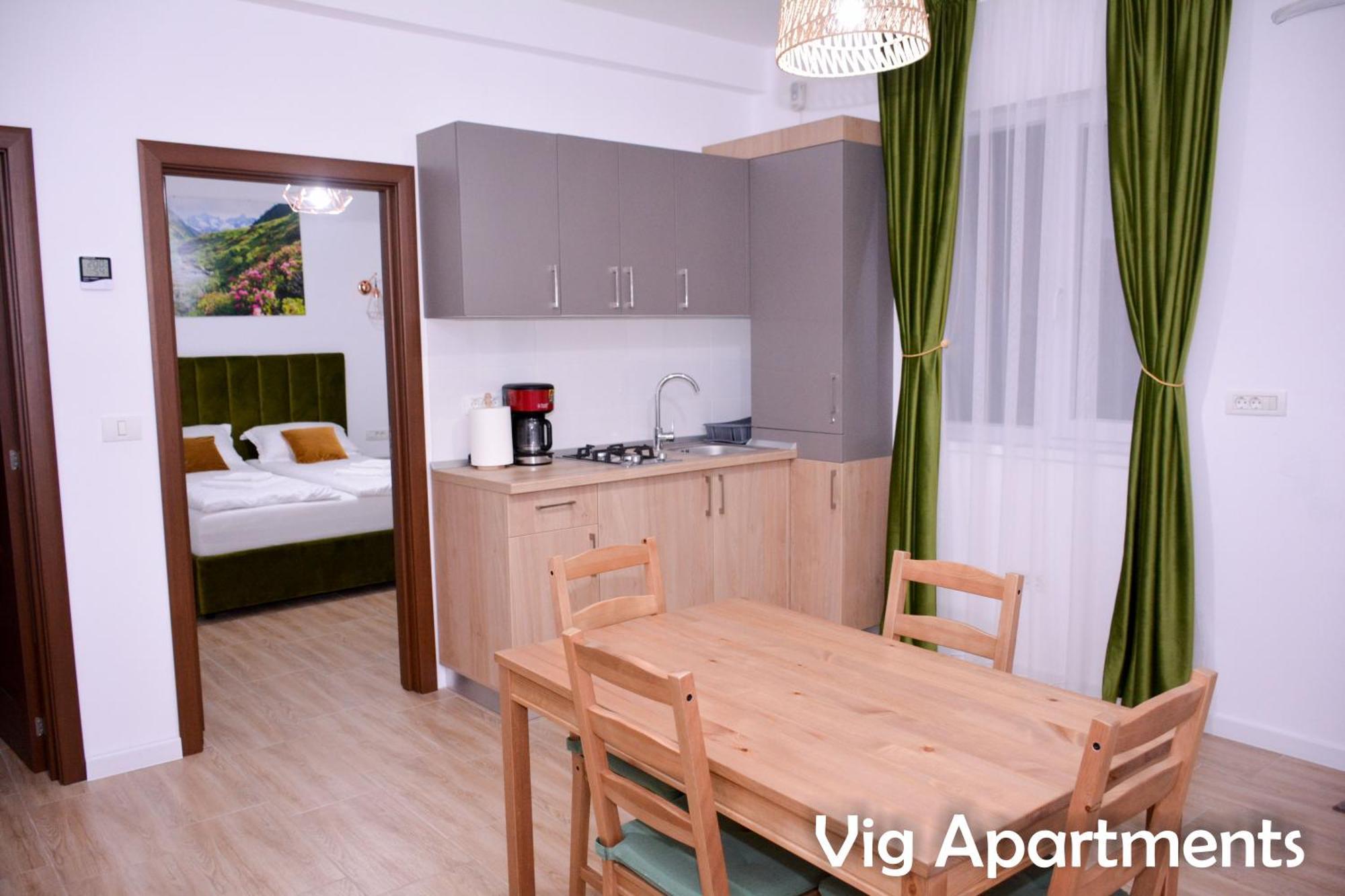 Vig Apartments Timisoara Exterior photo