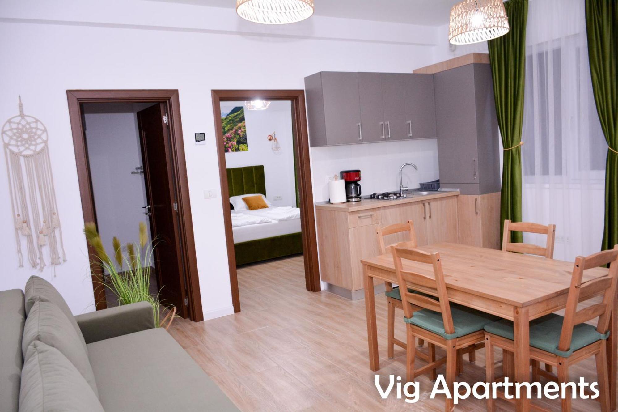 Vig Apartments Timisoara Exterior photo
