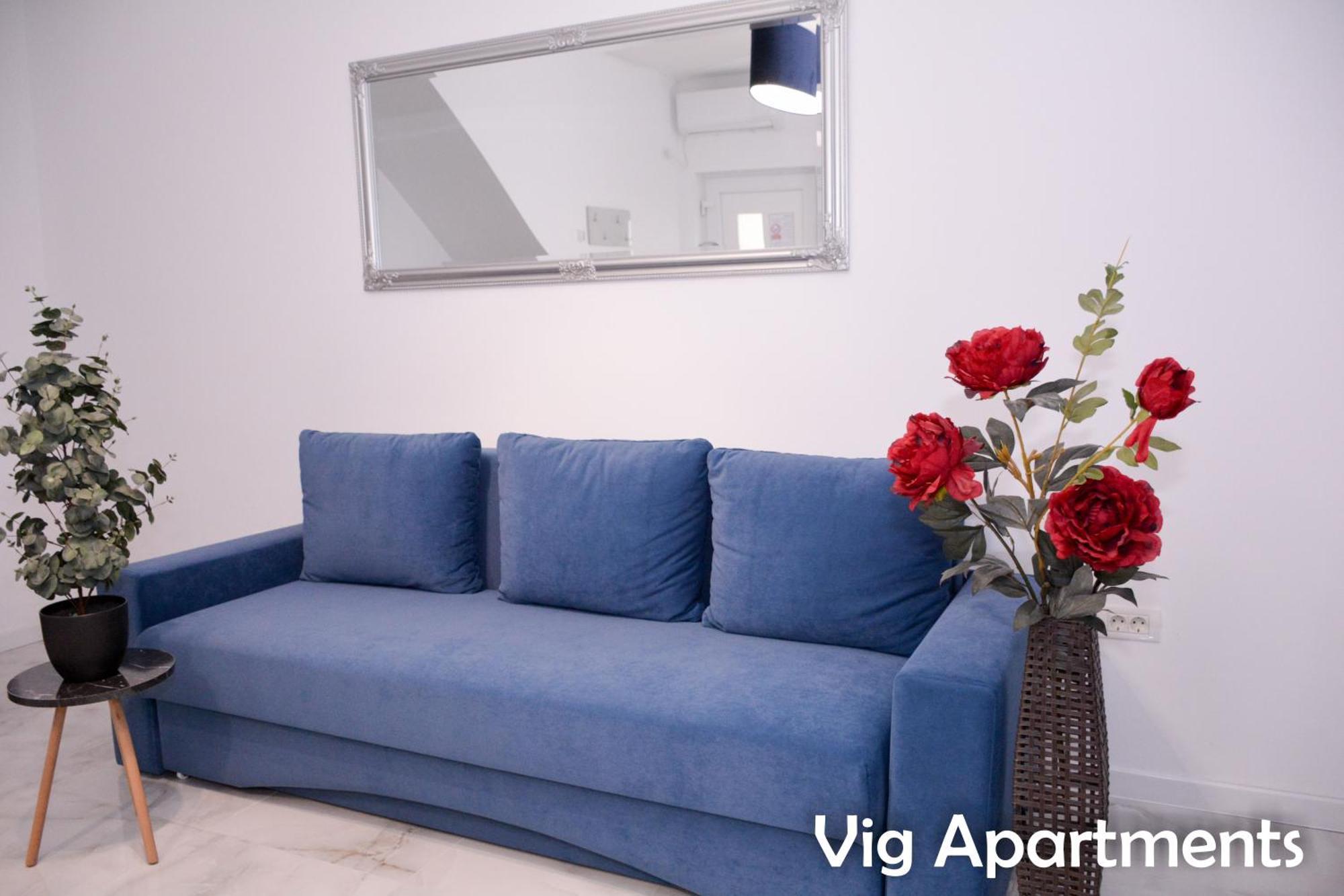 Vig Apartments Timisoara Exterior photo
