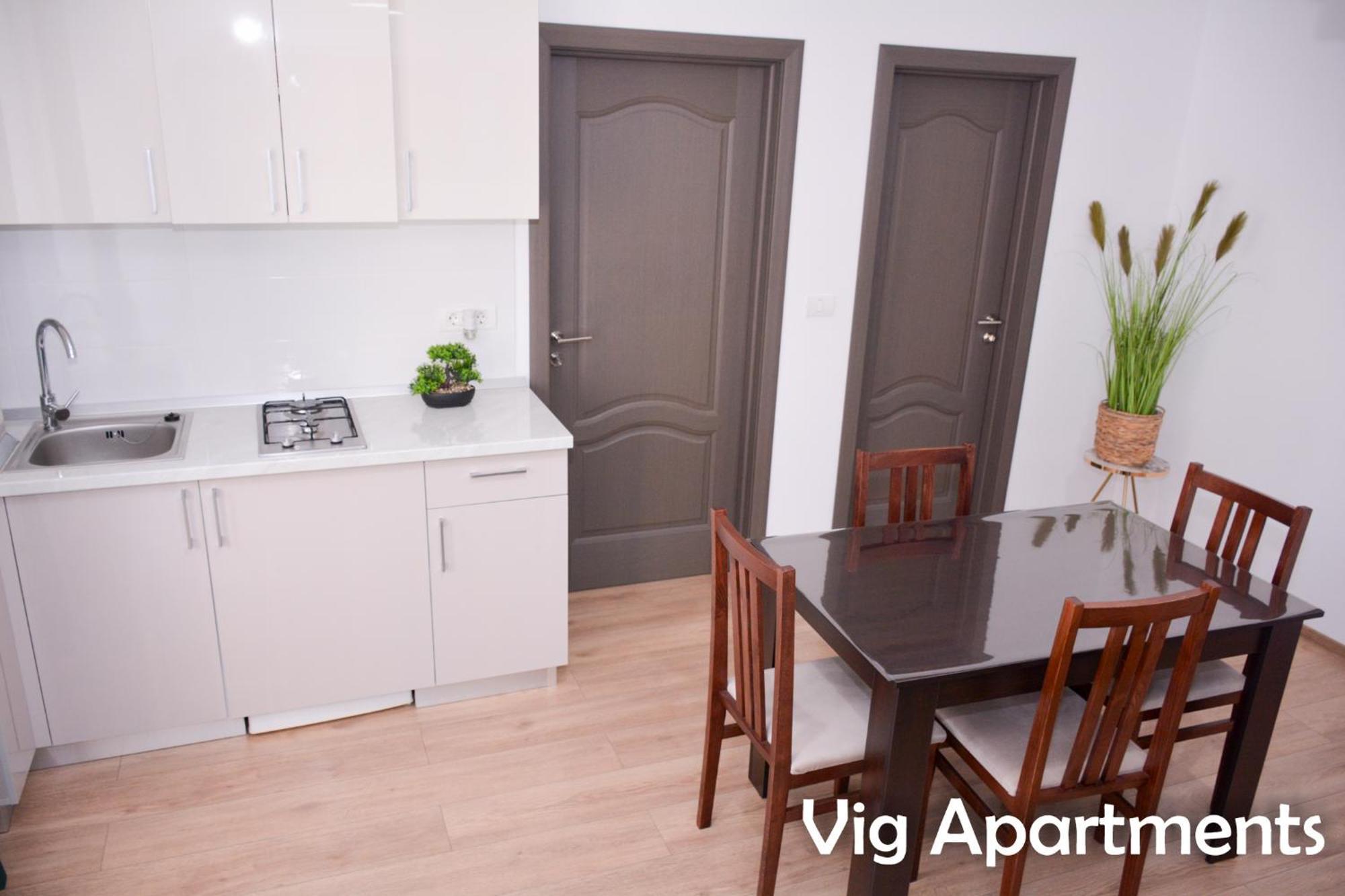 Vig Apartments Timisoara Exterior photo